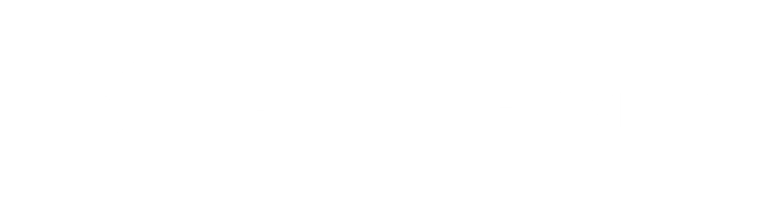Frisa Aerospace